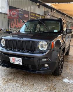 جيب رينيجيد